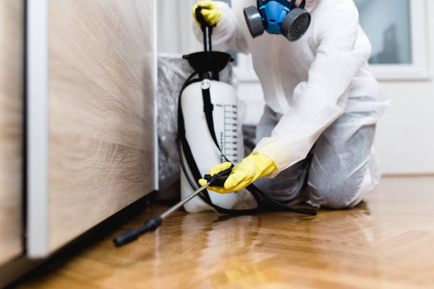 Best Best Pest Control Companies  in Collinsville, TX