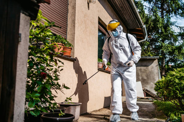 Insect Control in Collinsville, TX